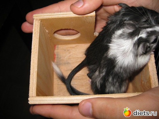 405 ����: ��� ������