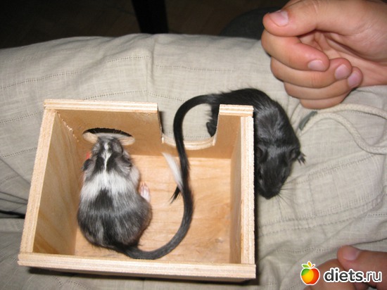 406 фото: Для постов