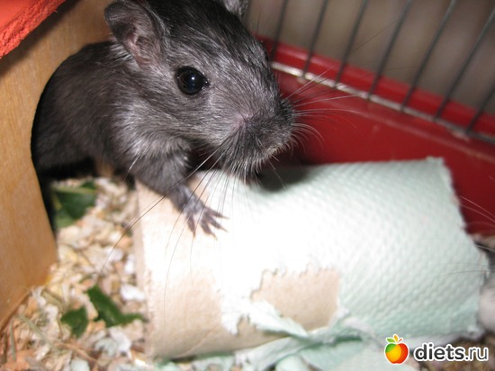 408 фото: Для постов