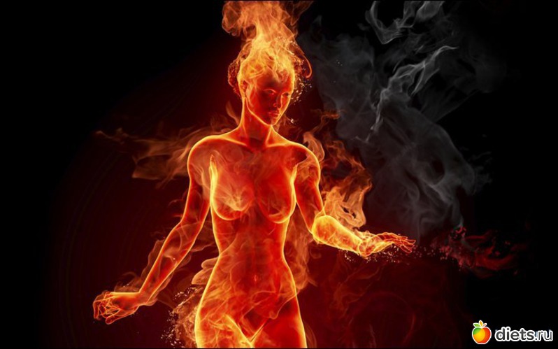 3 ����: ���������