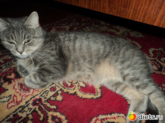 6 ����: ������