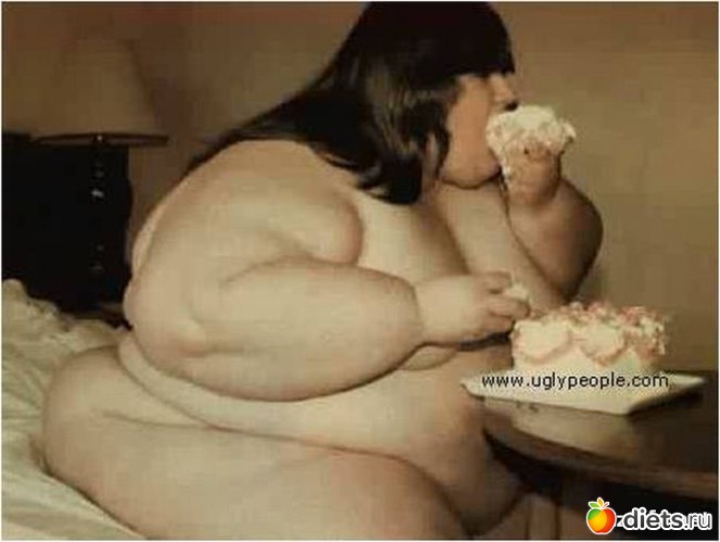 17 ����: ����������