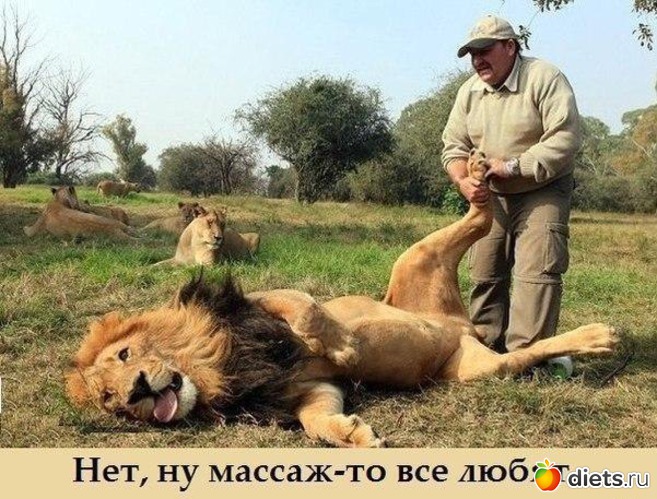 ����� ����������, ������: ))))