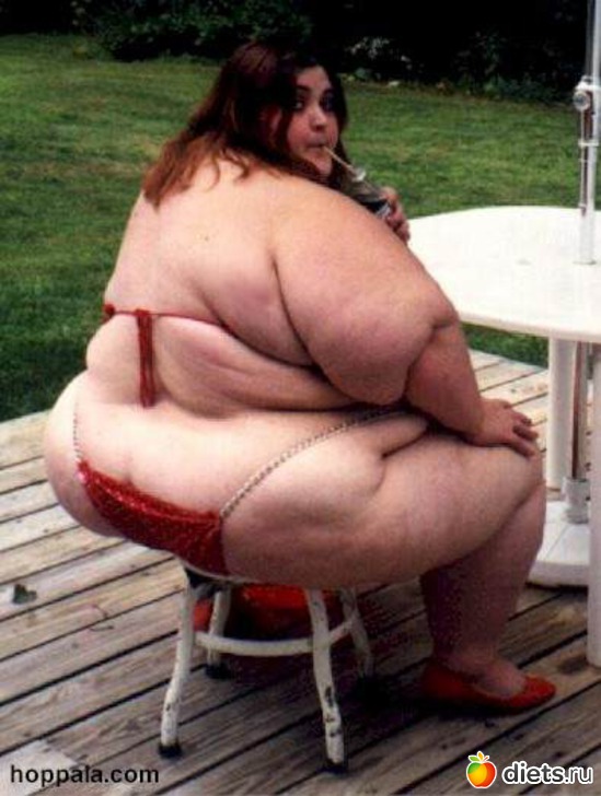 20 ����: ����������