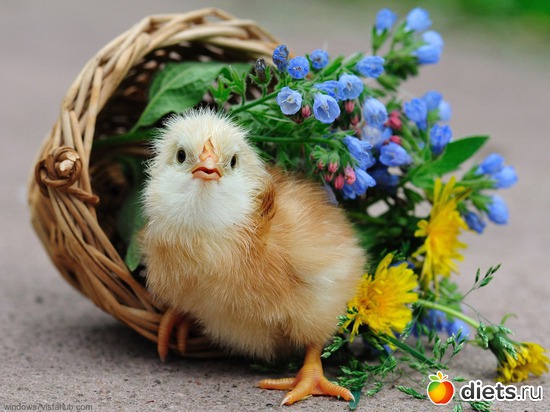 2 ����: Wallpapers