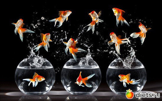 9 ����: Wallpapers