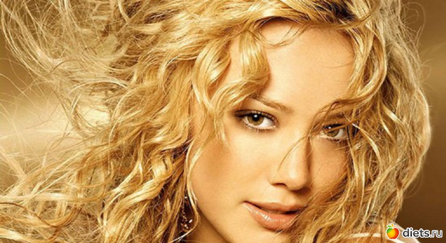 23 ����: ������