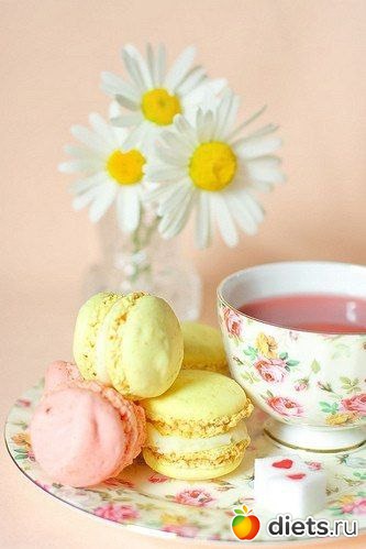 ���� �������� ���������