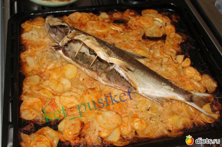 14 ����: ���������