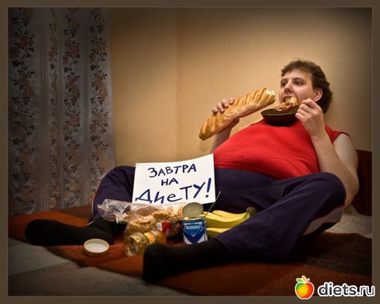 14 ����: ����������