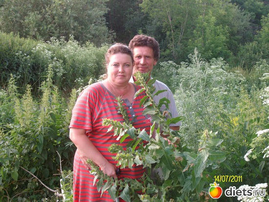 ��� ����� � ���� � 2011 ����. ��� 115 ��!, ������: ��� ������