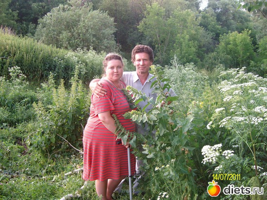 ��� � ����� ��������, ������: ��� ������