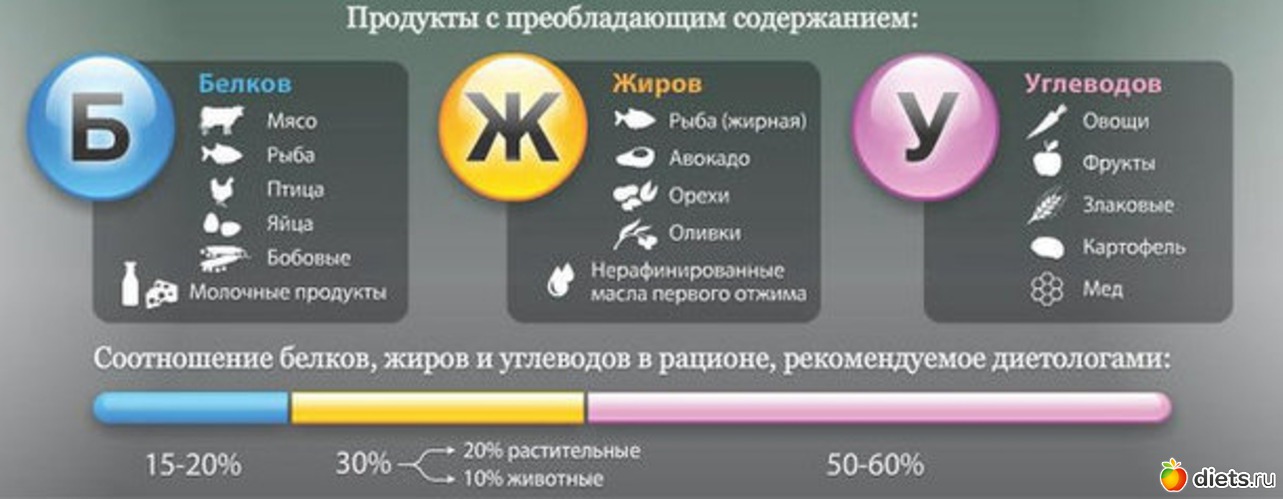 1 ����: ������ ����������