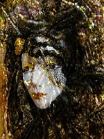 The Biggest Loser Workout Last Chance Workout 61 min Fitness Джилл для начинающих