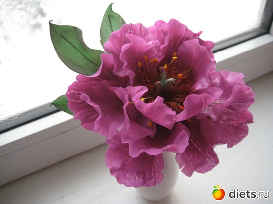 1 ����: ��� �������� �����!!