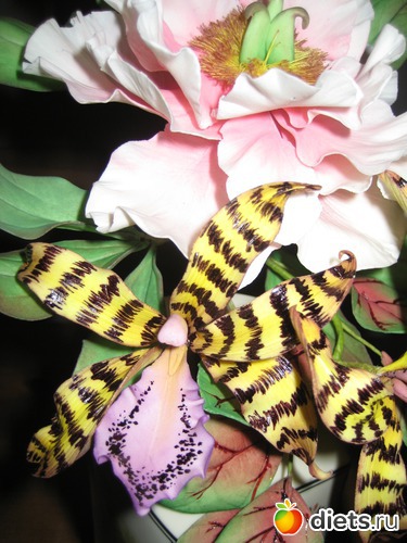 2 ����: ��� �������� �����!!