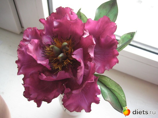 3 ����: ��� �������� �����!!