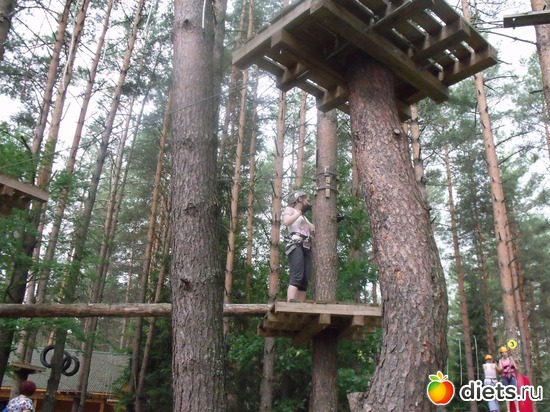 1 ����: ����