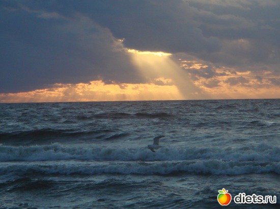 18 ����: ������ �� ����