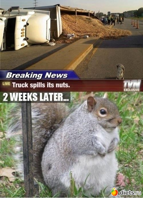 4 ����: ����