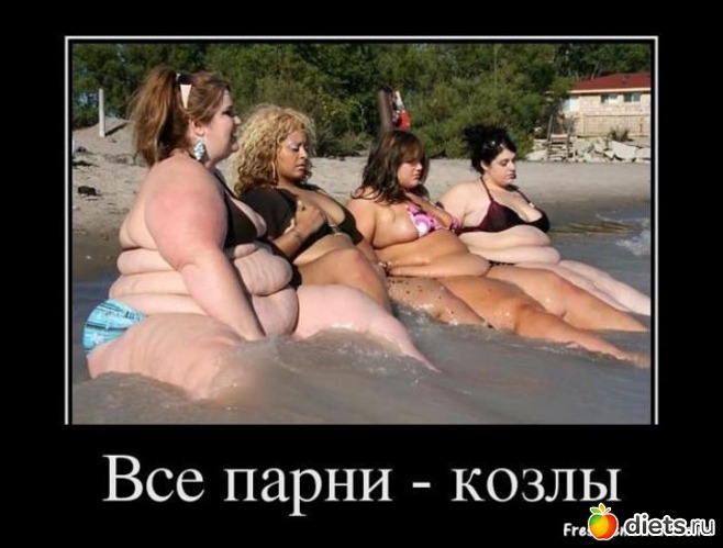 6 ����: ��� ��� ����