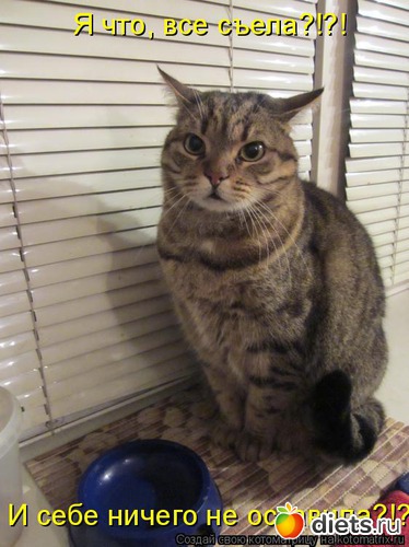 3 ����: ��������