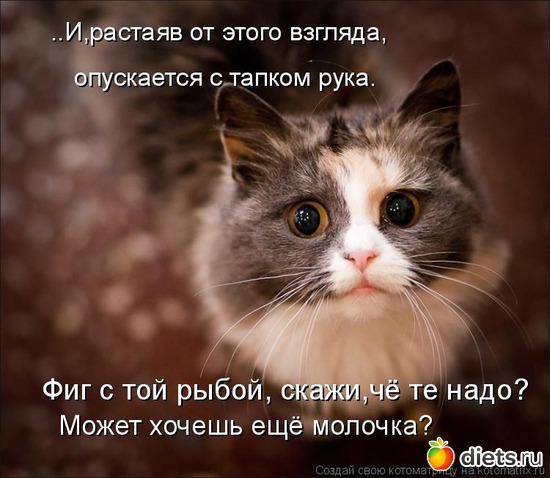 4 ����: ��������