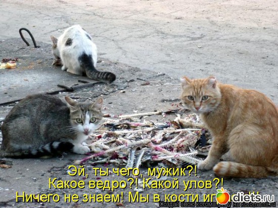 5 ����: ��������