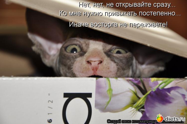 6 ����: ��������