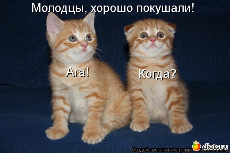 8 ����: ��������