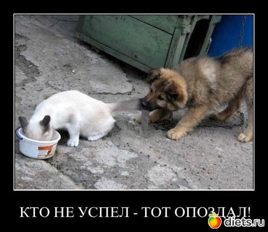 12 ����: ��������