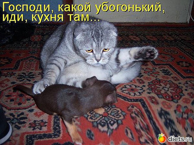 13 ����: ��������