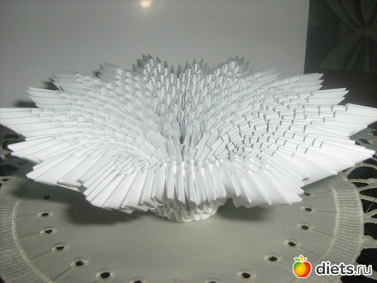 28 ����: ��� �������