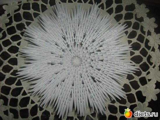 29 ����: ��� �������