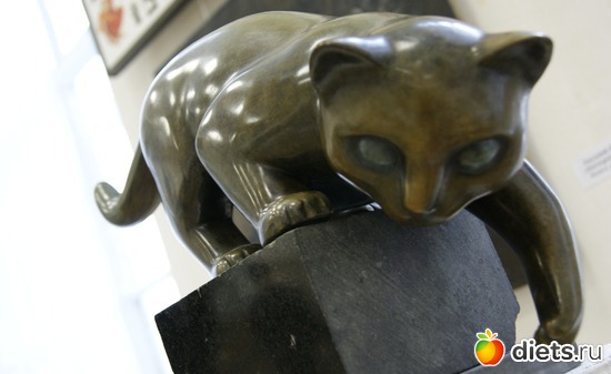 3 ����: �������� "��� ��������" � ����� ����������