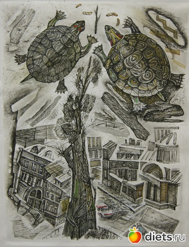 12 ����: �������� "��� ��������" � ����� ����������