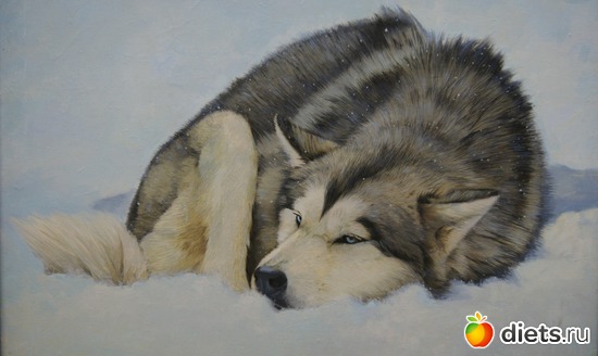 17 ����: �������� "��� ��������" � ����� ����������