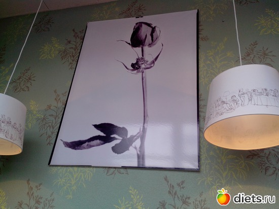 29 ����: ������������