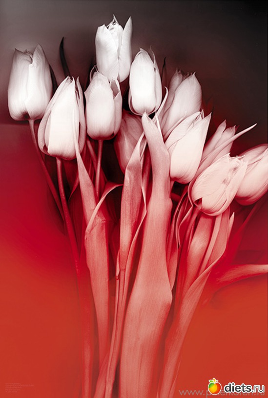 2 ����: ������������