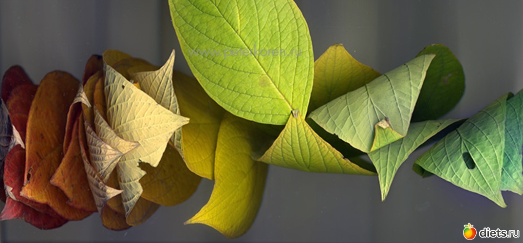 3 ����: ������������