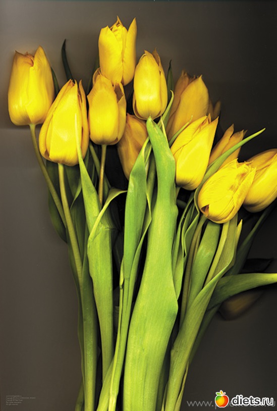 4 ����: ������������