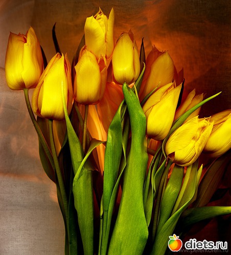 5 ����: ������������