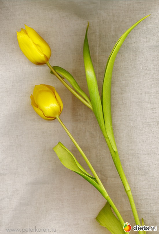 6 ����: ������������