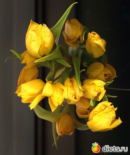 7 ����: ������������