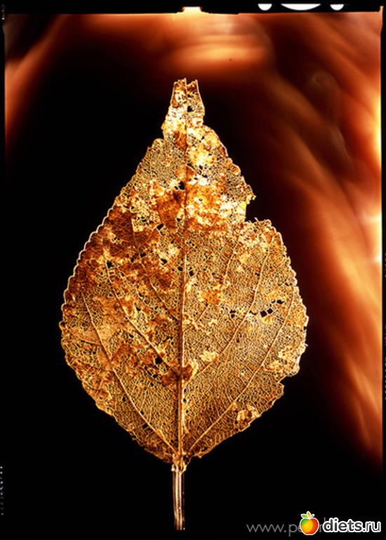 8 ����: ������������