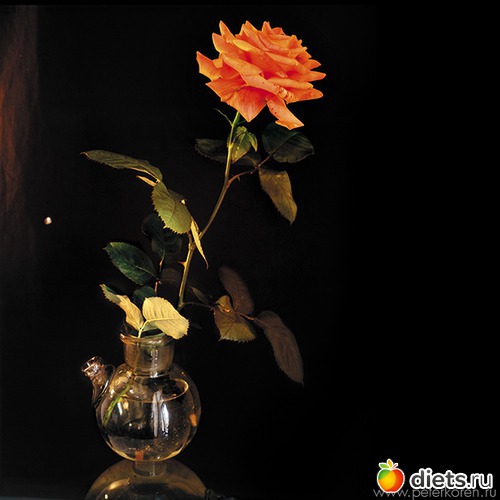 11 ����: ������������