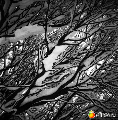 12 ����: ������������