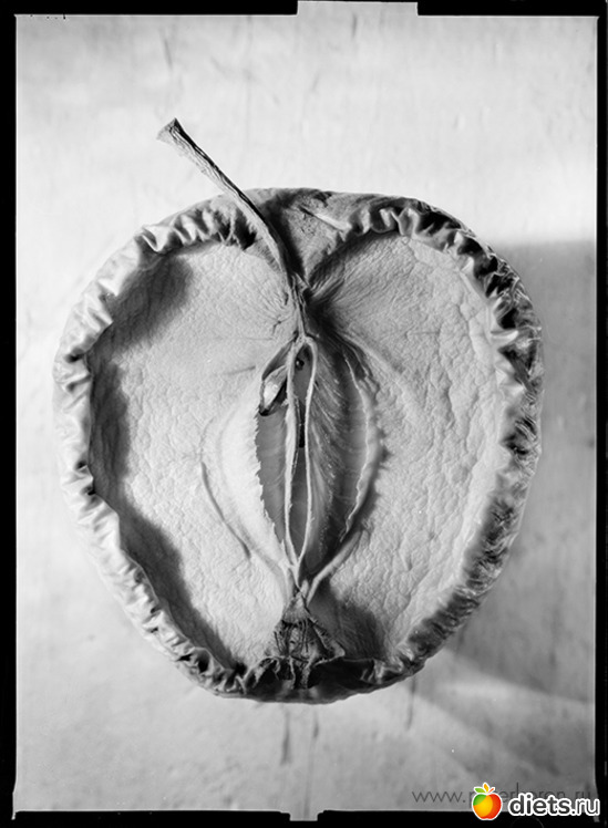 15 ����: ������������