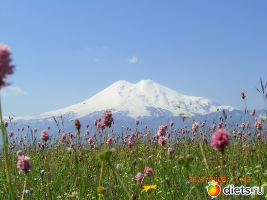 ���� � �����, ������: ��� �