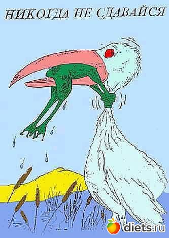 ���������!!!